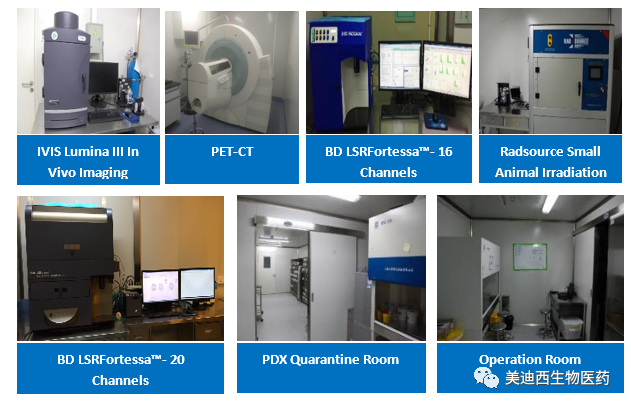 CA88药理部拥有IVIS Lumina III, PET-CT, BD LSRFortessa-16, Flow Cytometry等仪器，，，，，，，提供切合申报，，，，，，，支持临床试验的药效评价效劳。。。。。。。