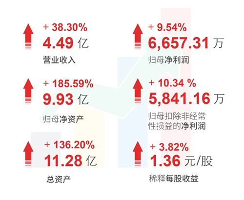 CA88 财务亮点