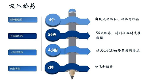 CA88吸入给药清静性评价效劳