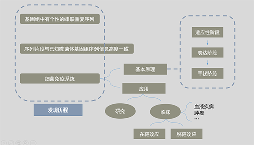 CRISPR基因编辑手艺