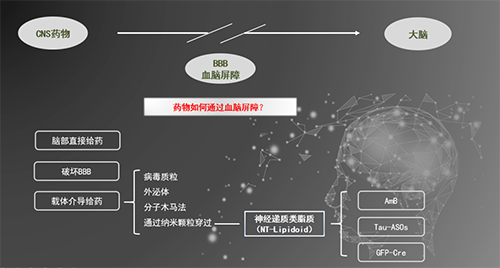 人工合成NT类脂质开放血脑屏障，，，为CNS药物翻开新时势
