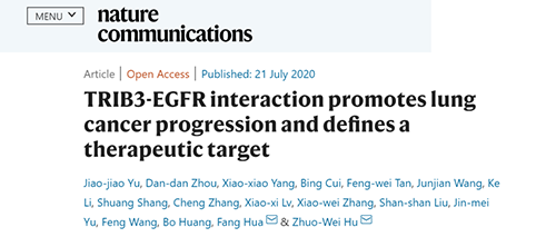 Nature|非小细胞肺癌治疗新计划:靶向降解EGFR