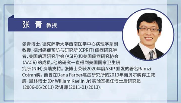 直播预告|诺奖实验室讲师张青教授做客CA88云课堂，，，，，展现乳腺癌和肾癌治疗新靶点