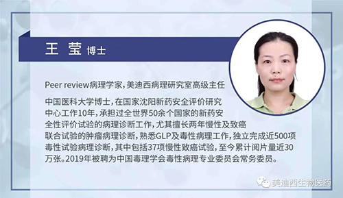 CA88病理研究部高级主任王莹博士
