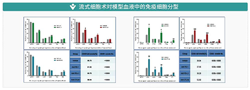 流式细胞术对模子血液中的免疫细胞分型