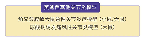 CA88的其他枢纽炎模子