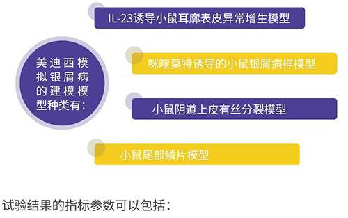 CA88模拟银屑病的建模模子种类