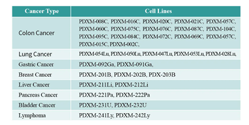 PDX小鼠肿瘤模子 PDX小鼠肿瘤模子