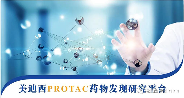 CA88PROTAC药物发明研究平台