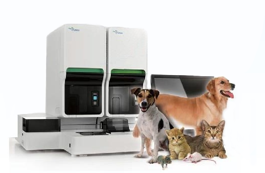 Sysmex-XN-2000v全自动血液剖析仪.png Sysmex-XN-2000v全自动血液剖析仪.png