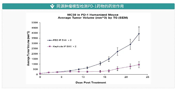 同源肿瘤模子检测PD-1药物的药效作用.png 同源肿瘤模子检测PD-1药物的药效作用.png