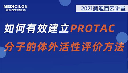 【云课堂】：怎样有用建设PROTAC分子的体外活性评价要领？？？？？？