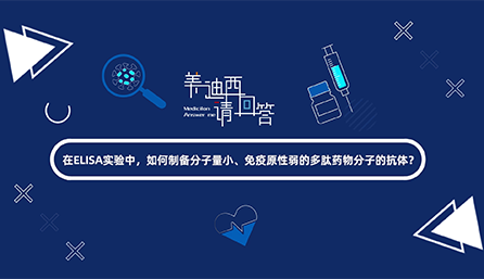 在ELISA实验，，，，怎样制备分子量小、免疫原性弱的多肽药物分子的抗体？？？？？？