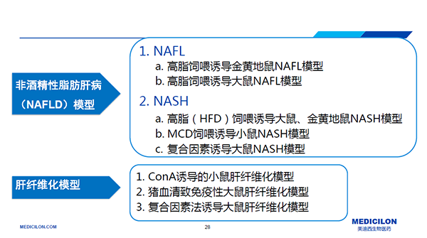 NASH动物模子