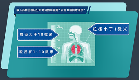 吸入药物的粒径漫衍为何云云主要？？？在什么区间才理想？？？