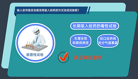 吸入安评是否全程接纳吸入给药的方法完成试验呢？？？？？