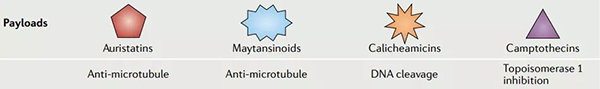 ADC-药物的有用载荷.png ADC-药物的有用载荷.png