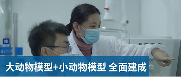大动物模子和小动物模子周全建成.jpg 大动物模子和小动物模子周全建成.jpg