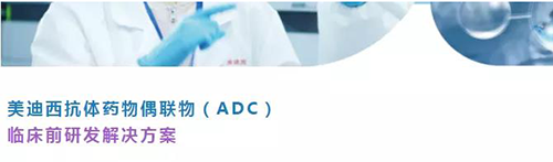 CA88抗体药物偶联物(ADC)临床前研发解决计划.png CA88抗体药物偶联物(ADC)临床前研发解决计划.png