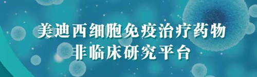 CA88细胞免疫治疗药物非临床研究平台.png CA88细胞免疫治疗药物非临床研究平台.png