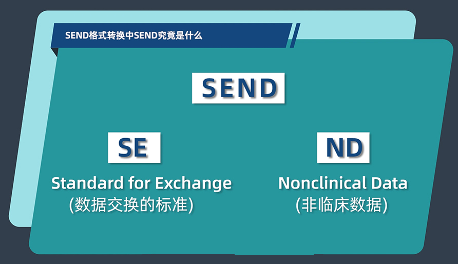 SEND名堂转换中的SEND事实是什么？？？？