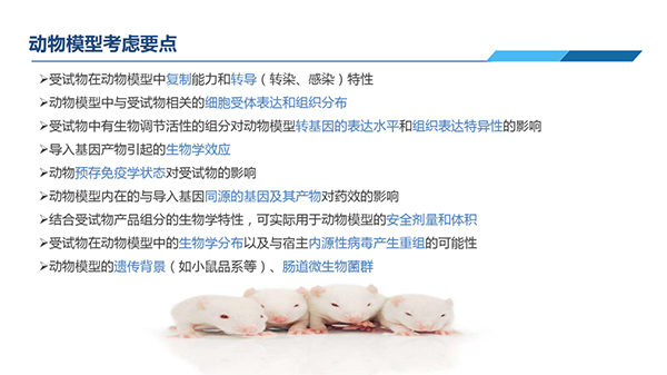 动物模子思量要点.jpg 动物模子思量要点.jpg