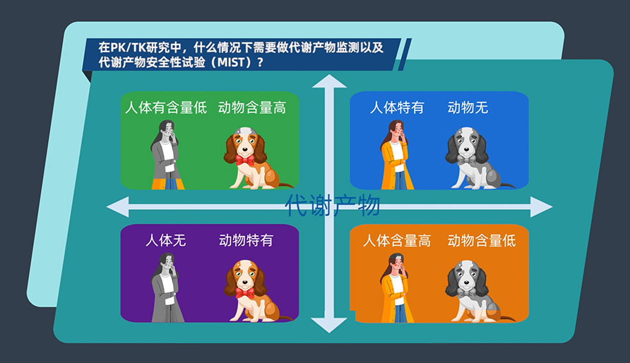 在PK-TK研究中，，，，，，什么情形下需要做代谢产品监测以及代谢产品清静性试验（MIST）
