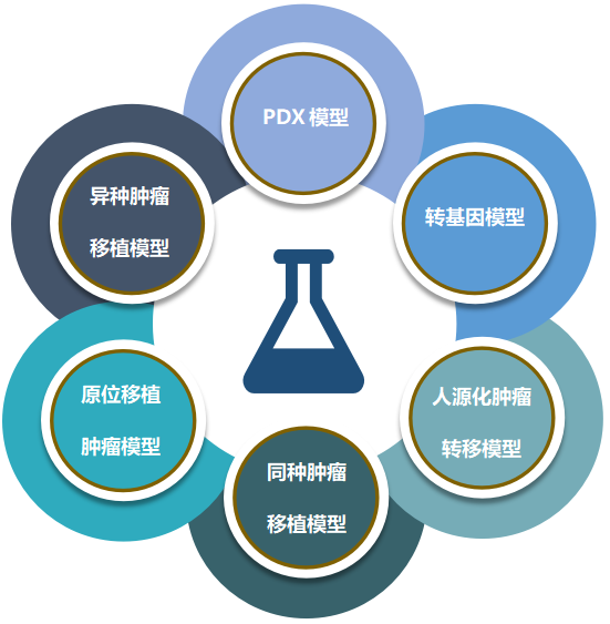 CA88致力于为客户提供成熟的评估ADC体内药效的肿瘤模子.png CA88致力于为客户提供成熟的评估ADC体内药效的肿瘤模子.png