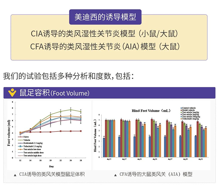 CA88诱导的类风湿性枢纽炎模子-1.png CA88诱导的类风湿性枢纽炎模子-1.png