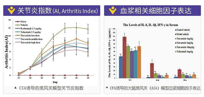 CA88诱导的类风湿性枢纽炎模子-2.png CA88诱导的类风湿性枢纽炎模子-2.png