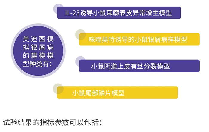 CA88模拟银屑病的建模模子.png CA88模拟银屑病的建模模子.png