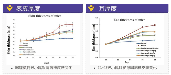 CA88模拟银屑病的建模模子-试验效果的指标.png CA88模拟银屑病的建模模子-试验效果的指标.png