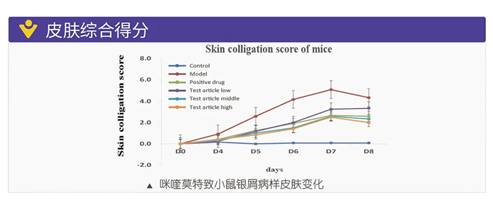 CA88模拟银屑病的建模模子-皮肤综合得分.png CA88模拟银屑病的建模模子-皮肤综合得分.png