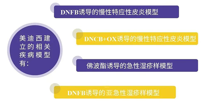 CA88建设的特应性皮炎模子.png CA88建设的特应性皮炎模子.png