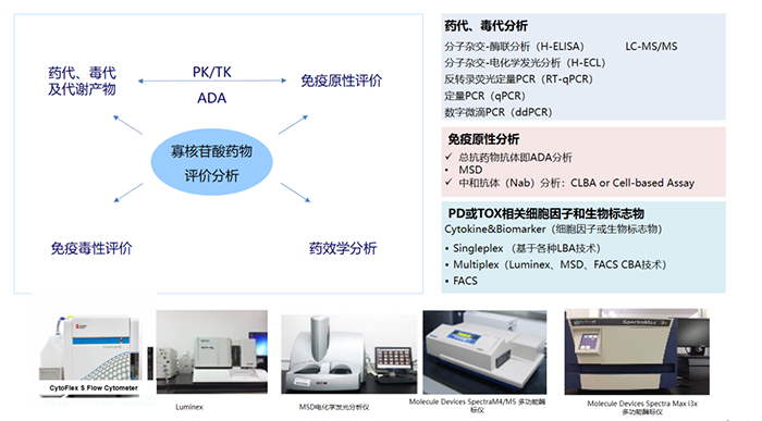 核酸药物生物剖析项目及涉及试验装备.png 核酸药物生物剖析项目及涉及试验装备.png