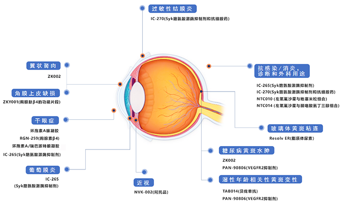 兆科眼科立异药物管线.png 兆科眼科立异药物管线.png