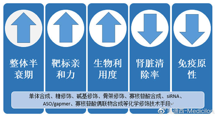 化学修饰手艺对核酸药物影响.jpg 化学修饰手艺对核酸药物影响.jpg