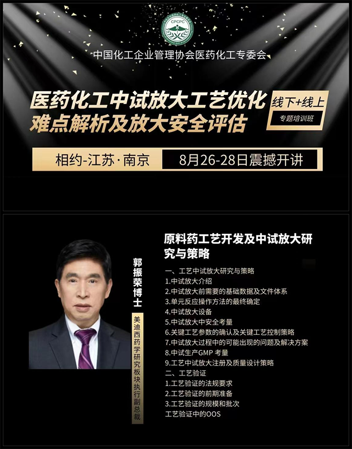 质料药工艺开发及中试放大研究与战略.png 质料药工艺开发及中试放大研究与战略.png