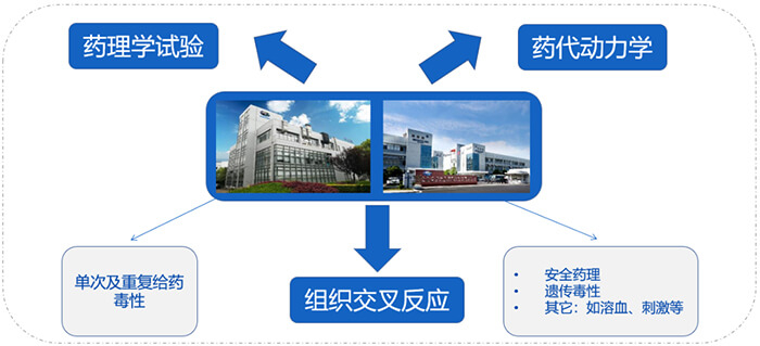 CA88ADC药物研发效劳内容.jpg CA88ADC药物研发效劳内容.jpg