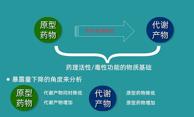 为何药物系统袒露量AUC在给药中后期会突然降低.jpg