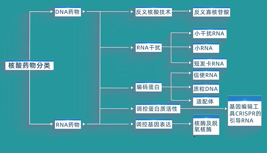 核酸药物的分类有哪些？？？