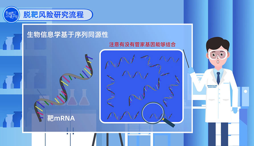 脱靶危害研究流程