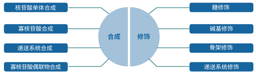 CA88核酸药物研发效劳平台.jpg
