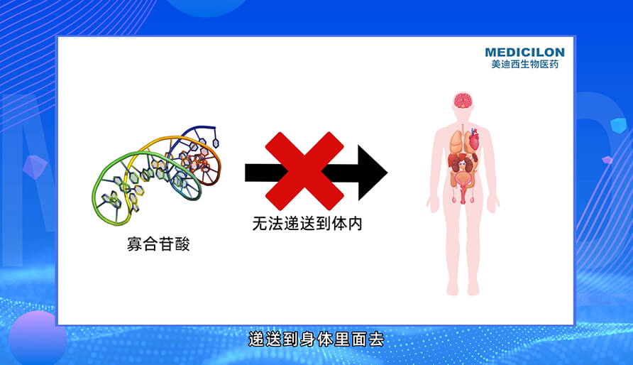 核酸药物的递送系统有哪些？？？？？