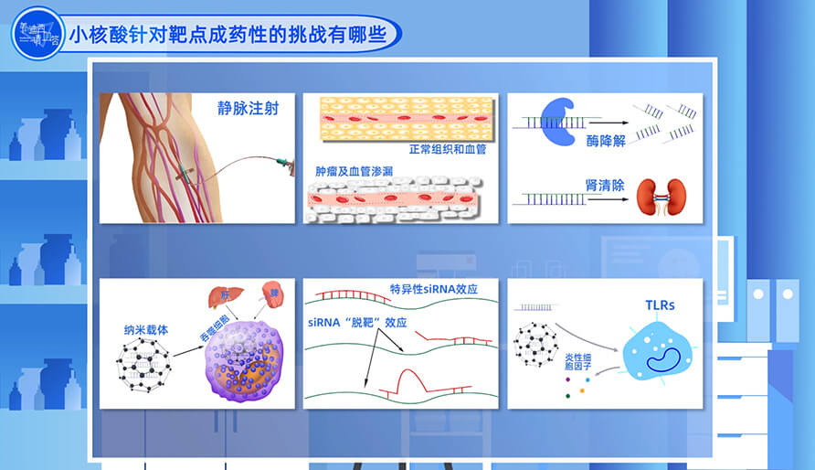 小核酸针对靶点成药性的挑战有哪些？？？？？？