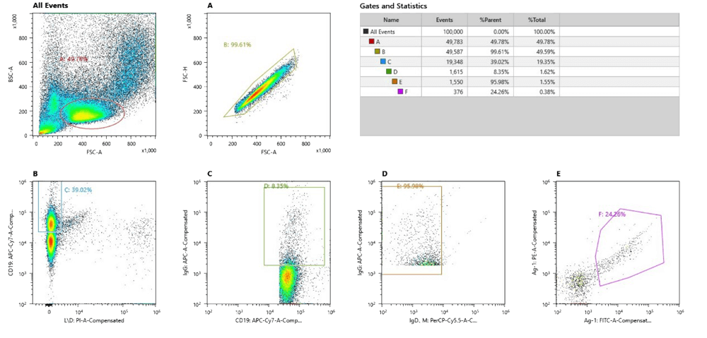 案例剖析: Nectin-4 (4-1) Sorting Single B Cell 案例剖析: Nectin-4 (4-1) Sorting Single B Cell