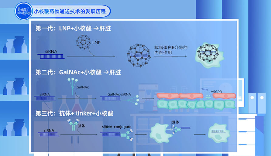 小核酸药物递送手艺的生长历程
