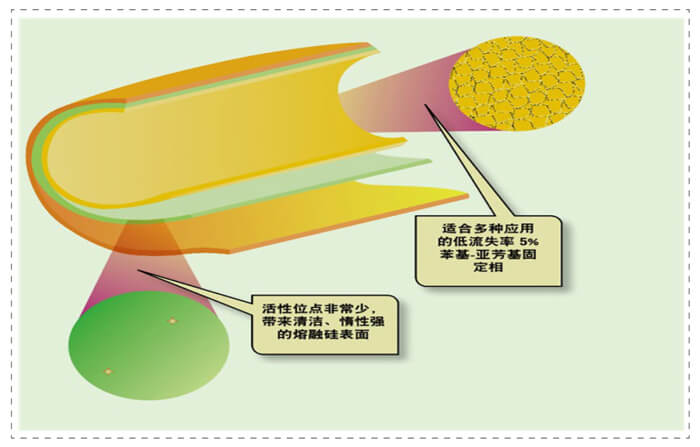 图3-管壁涂渍启齿柱内外貌未完全屏障的活性位点.jpg 图3-管壁涂渍启齿柱内外貌未完全屏障的活性位点.jpg