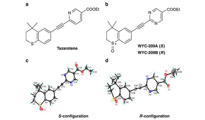 WYC-209可抑制恶性小鼠玄色素瘤肿瘤再生细胞增殖，，，，，，，本研究中SPR通过CA88使用Biacore 8K举行