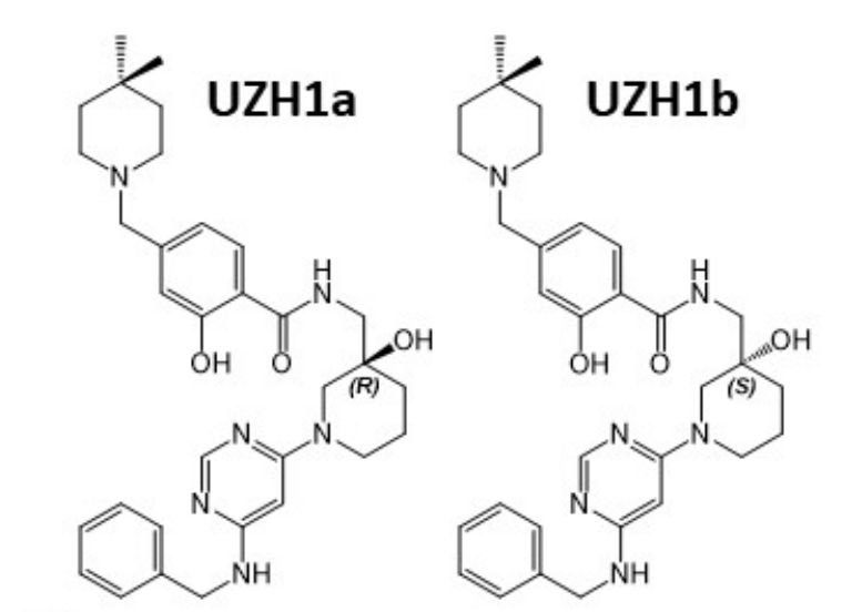 研究职员报告了一种具有细胞渗透性的选择性METTL3纳摩尔抑制剂UZH1a，，，，作者谢谢CA88合成了UZH1a和UZH1b